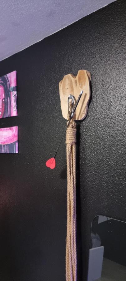 Apartament Le Coin Des Desirs Bdsm Strasburg Zewnętrze zdjęcie